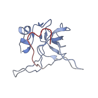 0047_6gq1_V_v1-1
Cryo-EM reconstruction of yeast 80S ribosome in complex with mRNA, tRNA and eEF2 (GMPPCP/sordarin)
