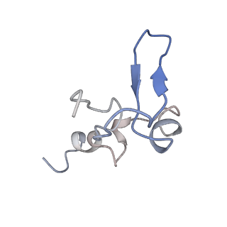 0047_6gq1_W_v1-1
Cryo-EM reconstruction of yeast 80S ribosome in complex with mRNA, tRNA and eEF2 (GMPPCP/sordarin)