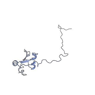 0047_6gq1_X_v1-1
Cryo-EM reconstruction of yeast 80S ribosome in complex with mRNA, tRNA and eEF2 (GMPPCP/sordarin)