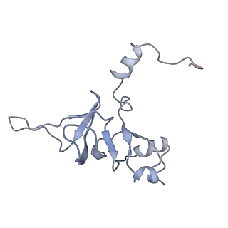 0047_6gq1_Y_v1-1
Cryo-EM reconstruction of yeast 80S ribosome in complex with mRNA, tRNA and eEF2 (GMPPCP/sordarin)