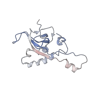 0047_6gq1_Z_v1-1
Cryo-EM reconstruction of yeast 80S ribosome in complex with mRNA, tRNA and eEF2 (GMPPCP/sordarin)