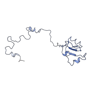 0047_6gq1_a_v1-1
Cryo-EM reconstruction of yeast 80S ribosome in complex with mRNA, tRNA and eEF2 (GMPPCP/sordarin)