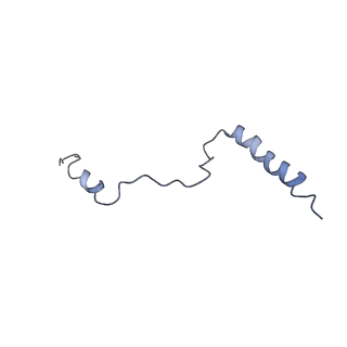 0047_6gq1_b_v1-1
Cryo-EM reconstruction of yeast 80S ribosome in complex with mRNA, tRNA and eEF2 (GMPPCP/sordarin)