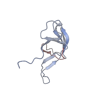 0047_6gq1_f_v1-1
Cryo-EM reconstruction of yeast 80S ribosome in complex with mRNA, tRNA and eEF2 (GMPPCP/sordarin)