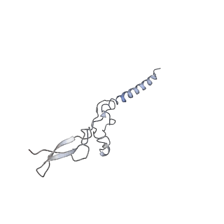 0047_6gq1_g_v1-1
Cryo-EM reconstruction of yeast 80S ribosome in complex with mRNA, tRNA and eEF2 (GMPPCP/sordarin)
