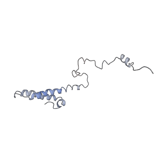 0047_6gq1_h_v1-1
Cryo-EM reconstruction of yeast 80S ribosome in complex with mRNA, tRNA and eEF2 (GMPPCP/sordarin)