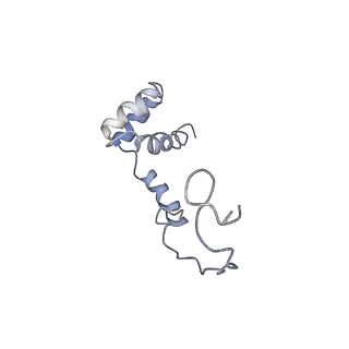 0047_6gq1_i_v1-1
Cryo-EM reconstruction of yeast 80S ribosome in complex with mRNA, tRNA and eEF2 (GMPPCP/sordarin)