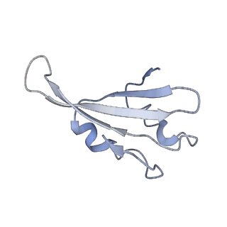 0047_6gq1_k_v1-1
Cryo-EM reconstruction of yeast 80S ribosome in complex with mRNA, tRNA and eEF2 (GMPPCP/sordarin)