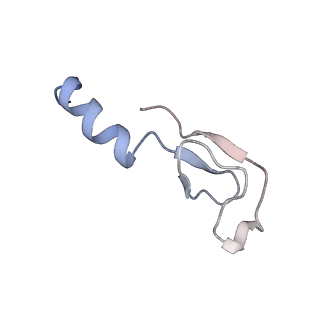 0047_6gq1_m_v1-1
Cryo-EM reconstruction of yeast 80S ribosome in complex with mRNA, tRNA and eEF2 (GMPPCP/sordarin)