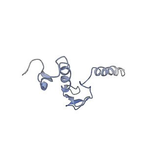 0047_6gq1_p_v1-1
Cryo-EM reconstruction of yeast 80S ribosome in complex with mRNA, tRNA and eEF2 (GMPPCP/sordarin)
