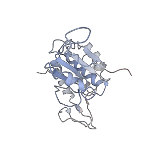0047_6gq1_q_v1-1
Cryo-EM reconstruction of yeast 80S ribosome in complex with mRNA, tRNA and eEF2 (GMPPCP/sordarin)