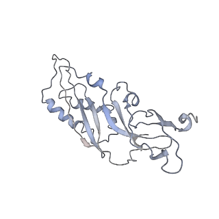 0047_6gq1_r_v1-1
Cryo-EM reconstruction of yeast 80S ribosome in complex with mRNA, tRNA and eEF2 (GMPPCP/sordarin)
