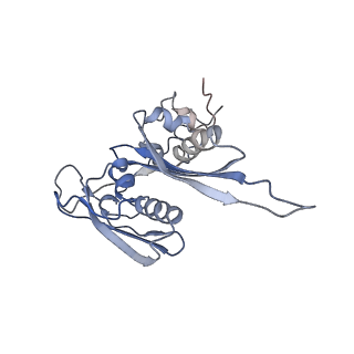 0047_6gq1_s_v1-1
Cryo-EM reconstruction of yeast 80S ribosome in complex with mRNA, tRNA and eEF2 (GMPPCP/sordarin)