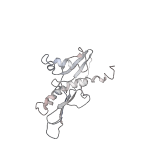 0047_6gq1_t_v1-1
Cryo-EM reconstruction of yeast 80S ribosome in complex with mRNA, tRNA and eEF2 (GMPPCP/sordarin)
