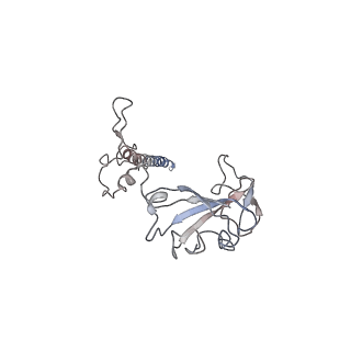 0047_6gq1_w_v1-1
Cryo-EM reconstruction of yeast 80S ribosome in complex with mRNA, tRNA and eEF2 (GMPPCP/sordarin)