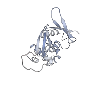 0047_6gq1_x_v1-1
Cryo-EM reconstruction of yeast 80S ribosome in complex with mRNA, tRNA and eEF2 (GMPPCP/sordarin)