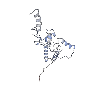0047_6gq1_z_v1-1
Cryo-EM reconstruction of yeast 80S ribosome in complex with mRNA, tRNA and eEF2 (GMPPCP/sordarin)
