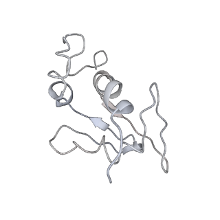 0048_6gqb_AA_v1-4
Cryo-EM reconstruction of yeast 80S ribosome in complex with mRNA, tRNA and eEF2 (GDP+AlF4/sordarin)