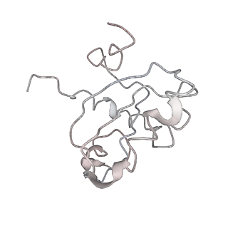 0048_6gqb_AC_v1-4
Cryo-EM reconstruction of yeast 80S ribosome in complex with mRNA, tRNA and eEF2 (GDP+AlF4/sordarin)