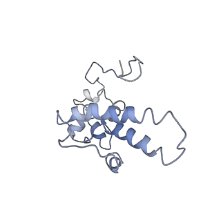 0048_6gqb_AD_v1-4
Cryo-EM reconstruction of yeast 80S ribosome in complex with mRNA, tRNA and eEF2 (GDP+AlF4/sordarin)