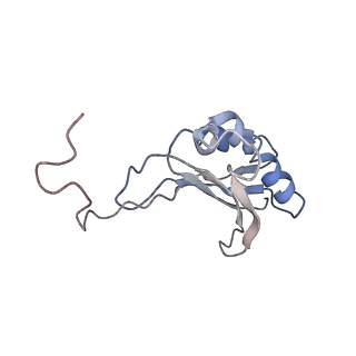 0048_6gqb_AE_v1-4
Cryo-EM reconstruction of yeast 80S ribosome in complex with mRNA, tRNA and eEF2 (GDP+AlF4/sordarin)