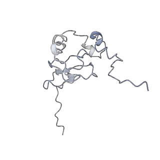 0048_6gqb_AF_v1-4
Cryo-EM reconstruction of yeast 80S ribosome in complex with mRNA, tRNA and eEF2 (GDP+AlF4/sordarin)