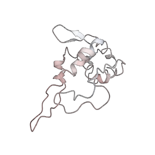 0048_6gqb_AJ_v1-4
Cryo-EM reconstruction of yeast 80S ribosome in complex with mRNA, tRNA and eEF2 (GDP+AlF4/sordarin)