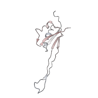 0048_6gqb_AK_v1-4
Cryo-EM reconstruction of yeast 80S ribosome in complex with mRNA, tRNA and eEF2 (GDP+AlF4/sordarin)