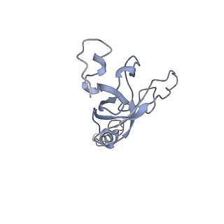 0048_6gqb_AN_v1-4
Cryo-EM reconstruction of yeast 80S ribosome in complex with mRNA, tRNA and eEF2 (GDP+AlF4/sordarin)