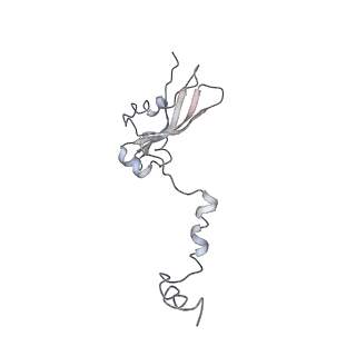 0048_6gqb_AO_v1-4
Cryo-EM reconstruction of yeast 80S ribosome in complex with mRNA, tRNA and eEF2 (GDP+AlF4/sordarin)