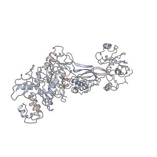 0048_6gqb_AZ_v1-4
Cryo-EM reconstruction of yeast 80S ribosome in complex with mRNA, tRNA and eEF2 (GDP+AlF4/sordarin)
