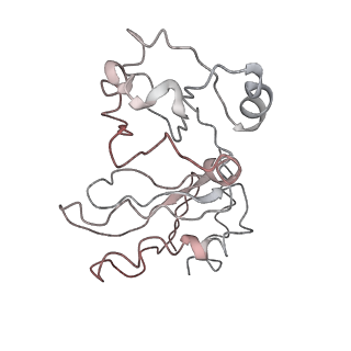0048_6gqb_BA_v1-4
Cryo-EM reconstruction of yeast 80S ribosome in complex with mRNA, tRNA and eEF2 (GDP+AlF4/sordarin)
