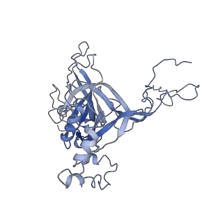 0048_6gqb_B_v1-4
Cryo-EM reconstruction of yeast 80S ribosome in complex with mRNA, tRNA and eEF2 (GDP+AlF4/sordarin)