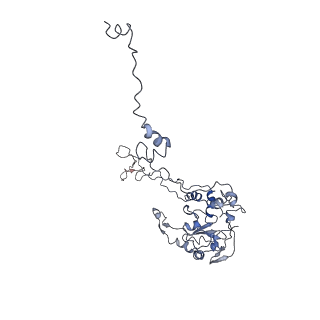 0048_6gqb_C_v1-4
Cryo-EM reconstruction of yeast 80S ribosome in complex with mRNA, tRNA and eEF2 (GDP+AlF4/sordarin)