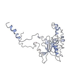 0048_6gqb_D_v1-4
Cryo-EM reconstruction of yeast 80S ribosome in complex with mRNA, tRNA and eEF2 (GDP+AlF4/sordarin)