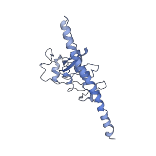 0048_6gqb_F_v1-4
Cryo-EM reconstruction of yeast 80S ribosome in complex with mRNA, tRNA and eEF2 (GDP+AlF4/sordarin)