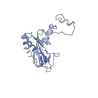 0048_6gqb_I_v1-4
Cryo-EM reconstruction of yeast 80S ribosome in complex with mRNA, tRNA and eEF2 (GDP+AlF4/sordarin)