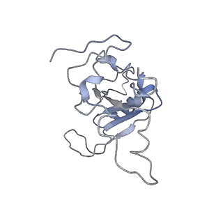0048_6gqb_J_v1-4
Cryo-EM reconstruction of yeast 80S ribosome in complex with mRNA, tRNA and eEF2 (GDP+AlF4/sordarin)