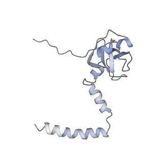 0048_6gqb_M_v1-4
Cryo-EM reconstruction of yeast 80S ribosome in complex with mRNA, tRNA and eEF2 (GDP+AlF4/sordarin)