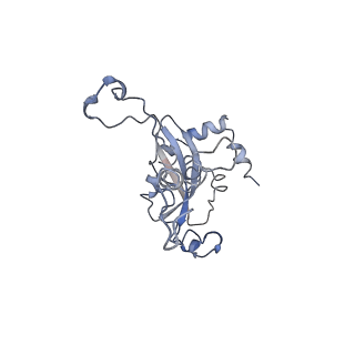 0048_6gqb_N_v1-4
Cryo-EM reconstruction of yeast 80S ribosome in complex with mRNA, tRNA and eEF2 (GDP+AlF4/sordarin)