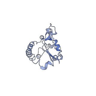 0048_6gqb_O_v1-4
Cryo-EM reconstruction of yeast 80S ribosome in complex with mRNA, tRNA and eEF2 (GDP+AlF4/sordarin)