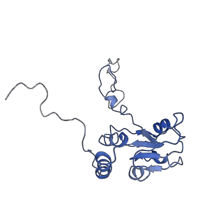 0048_6gqb_Q_v1-4
Cryo-EM reconstruction of yeast 80S ribosome in complex with mRNA, tRNA and eEF2 (GDP+AlF4/sordarin)
