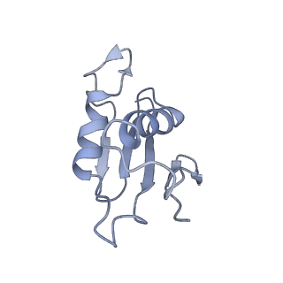 0048_6gqb_U_v1-4
Cryo-EM reconstruction of yeast 80S ribosome in complex with mRNA, tRNA and eEF2 (GDP+AlF4/sordarin)