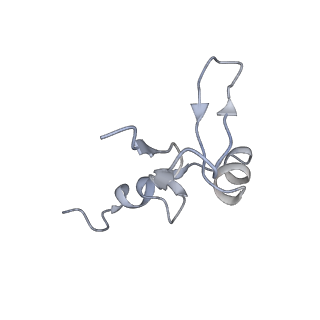 0048_6gqb_W_v1-4
Cryo-EM reconstruction of yeast 80S ribosome in complex with mRNA, tRNA and eEF2 (GDP+AlF4/sordarin)