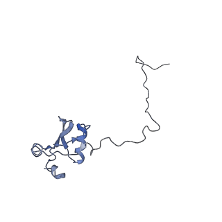 0048_6gqb_X_v1-4
Cryo-EM reconstruction of yeast 80S ribosome in complex with mRNA, tRNA and eEF2 (GDP+AlF4/sordarin)