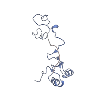 0048_6gqb_e_v1-4
Cryo-EM reconstruction of yeast 80S ribosome in complex with mRNA, tRNA and eEF2 (GDP+AlF4/sordarin)