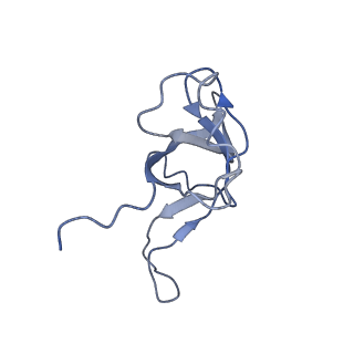 0048_6gqb_f_v1-4
Cryo-EM reconstruction of yeast 80S ribosome in complex with mRNA, tRNA and eEF2 (GDP+AlF4/sordarin)