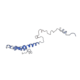 0048_6gqb_h_v1-4
Cryo-EM reconstruction of yeast 80S ribosome in complex with mRNA, tRNA and eEF2 (GDP+AlF4/sordarin)