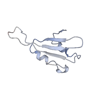 0048_6gqb_k_v1-4
Cryo-EM reconstruction of yeast 80S ribosome in complex with mRNA, tRNA and eEF2 (GDP+AlF4/sordarin)
