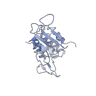 0048_6gqb_q_v1-4
Cryo-EM reconstruction of yeast 80S ribosome in complex with mRNA, tRNA and eEF2 (GDP+AlF4/sordarin)